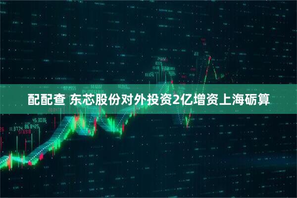 配配查 东芯股份对外投资2亿增资上海砺算