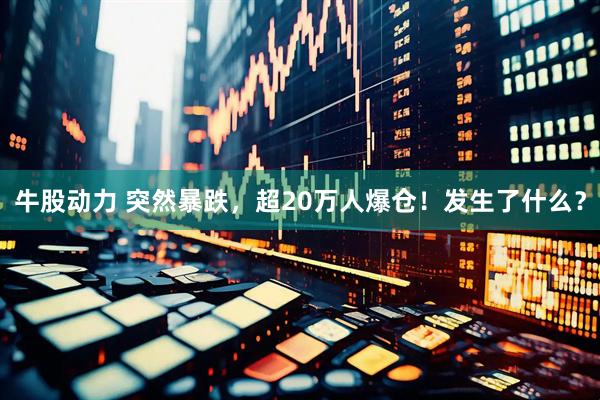 牛股动力 突然暴跌，超20万人爆仓！发生了什么？