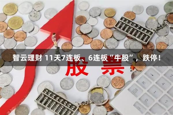 智云理财 11天7连板、6连板“牛股”，跌停！