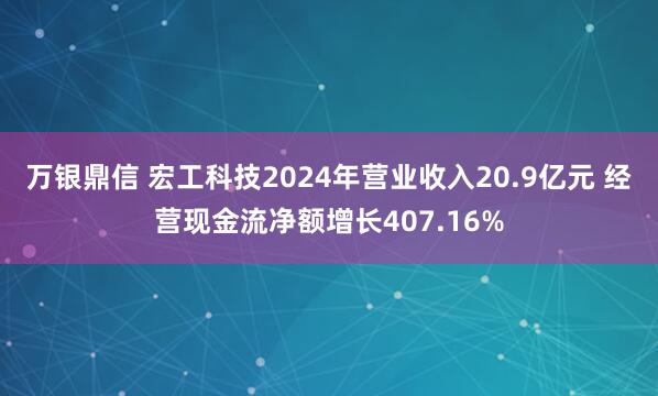 万银鼎信 宏工科技2024年营业收入20.9亿元 经营现金流净额增长407.16%