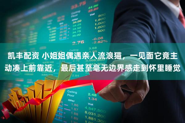 凯丰配资 小姐姐偶遇亲人流浪猫,一见面它竟主动凑上前靠近,最后甚至毫无边界感走到怀里睡觉